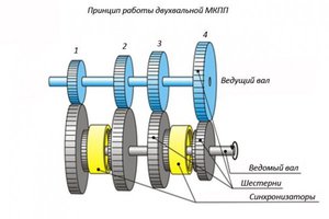 Виды зубчатых колес